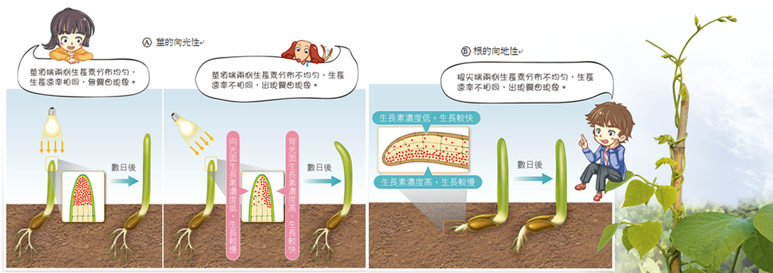 澳门沙金在线平台