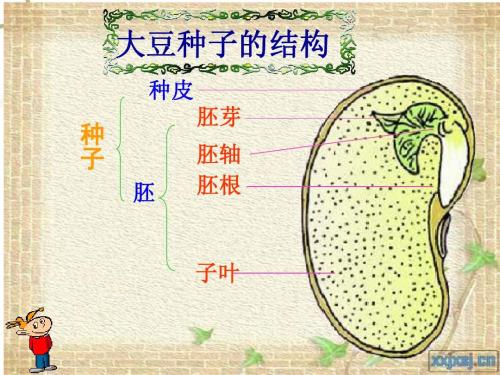 澳门沙金在线平台