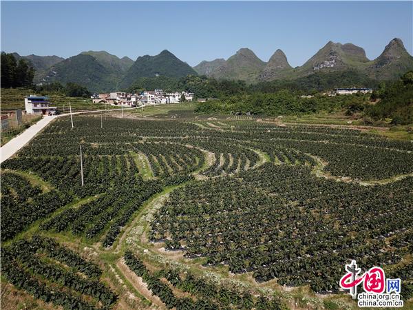 澳门沙金在线平台